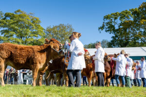 NIDDERDALE SHOW TICKETS NOW AVAILABLE