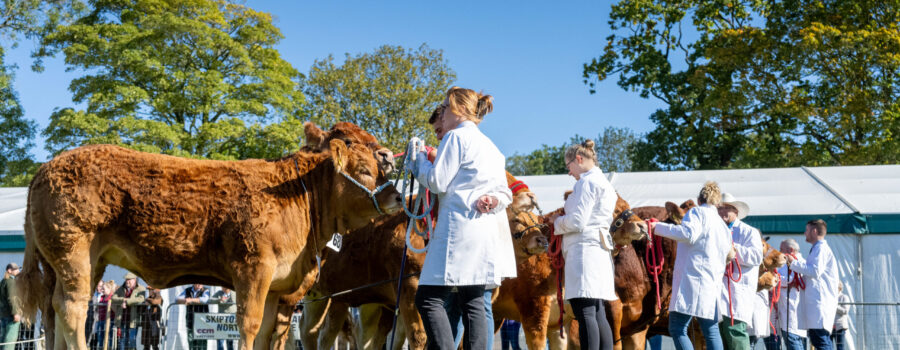 NIDDERDALE SHOW TICKETS NOW AVAILABLE