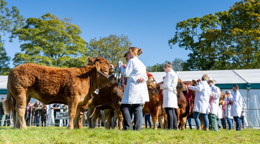 NIDDERDALE SHOW TICKETS NOW AVAILABLE